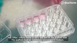 How to prepare the 3D cell culture systems P3D Scaffolds