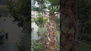 Smartworld Orchard Project Ready to Move View | floors on sale | ##pawantondwal 99969-69554