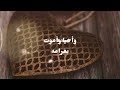 حبيت واحد مااشوف غيره