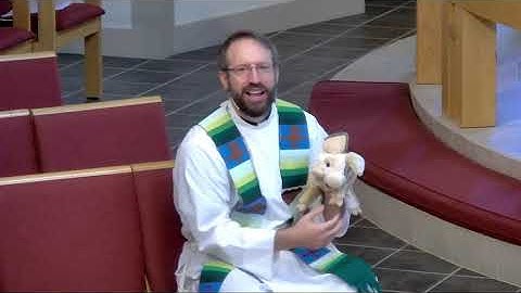 Plotinus (Tiny) the Pig - The Tenth Sunday of Pentecost 2020