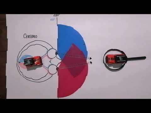Video: Cómo probar la visión periférica (con imágenes)