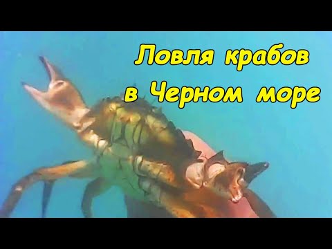 Video: În Crimeea, Extratereștrii „trăiesc” Sub Ayu-Dag, Iar Pe Plajele Azov Extrag Combustibil - Vedere Alternativă