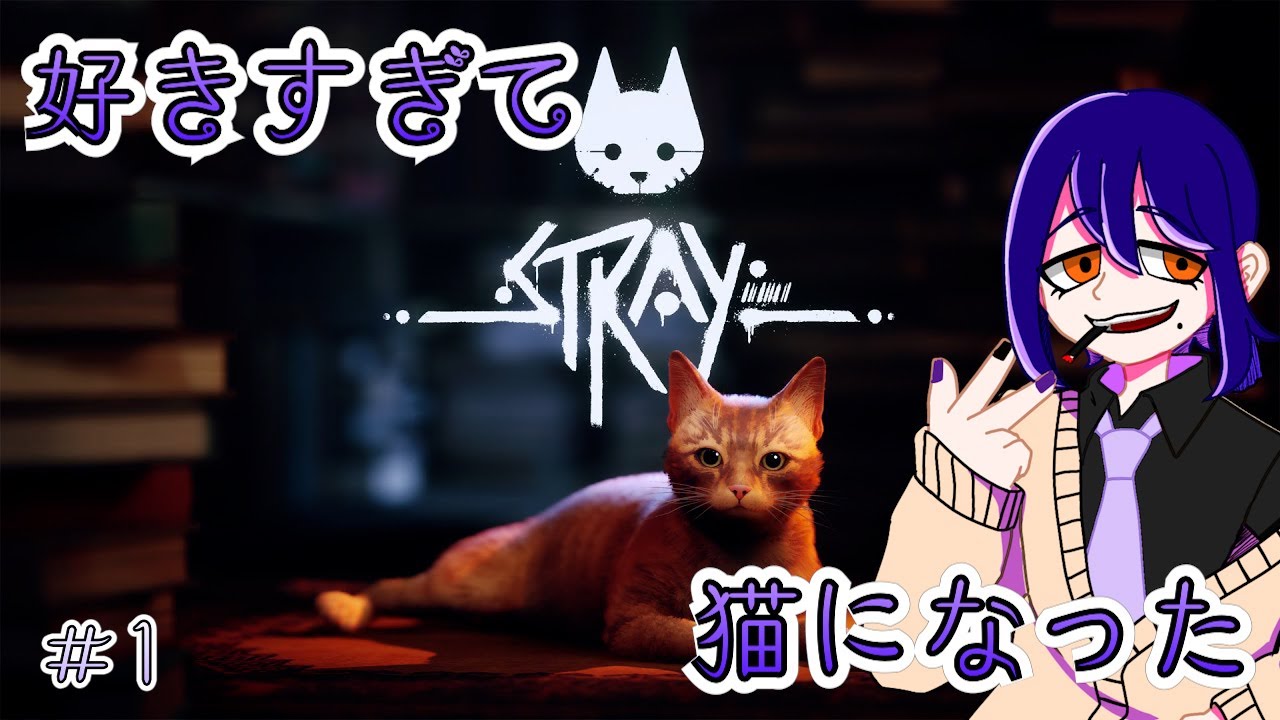 【Stray】猫狂いがついに猫になった【大衆居酒屋「よいゆめ」/くろま】