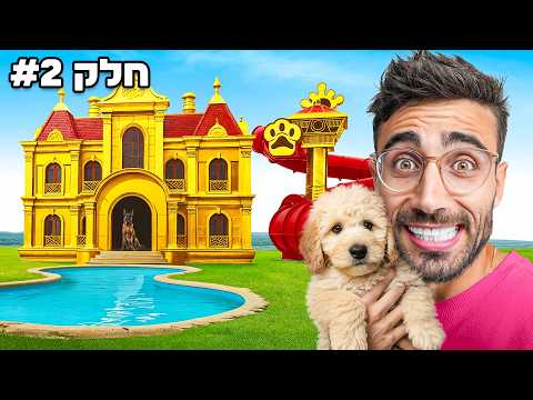 בית חלומות לכלבה מאומצת התגובה שלה חיותא TV 