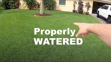 How Much Should I Water My Lawn? | Lawn Watering Tips