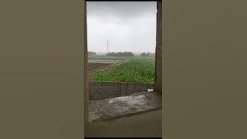 {ولقد أريناه آياتنا كلها فكذب وأبى قال أجئتنا لتخرجنا من أرضنا  بسحرك يا موسى} سورة طه