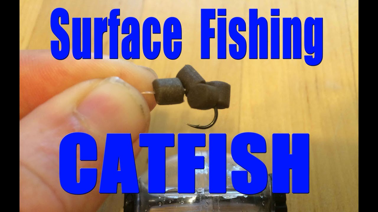 Surface fishing for catfish with artificial bait. Catch catfish