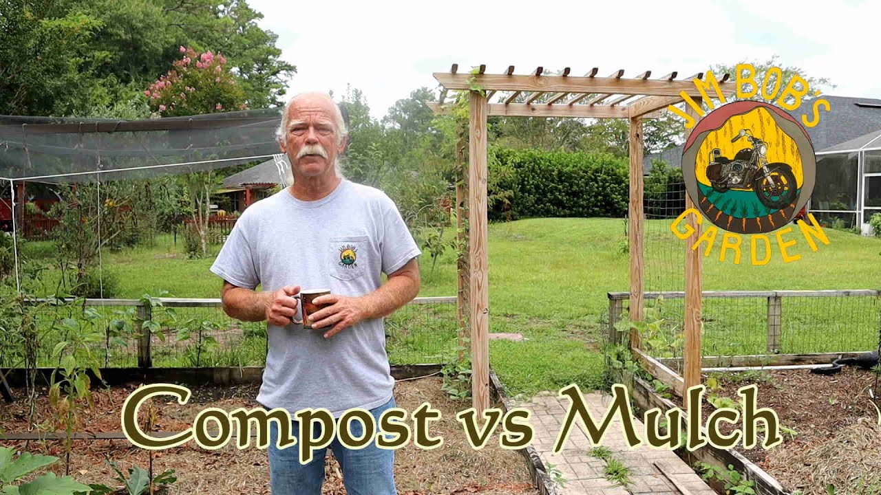 Compost vs Mulch