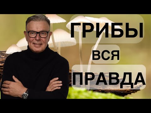 ГРИБЫ ВСЯ ПРАВДА! КАК ПРАВИЛЬНО УПОТРЕБЛЯТЬ ГРИБЫ!