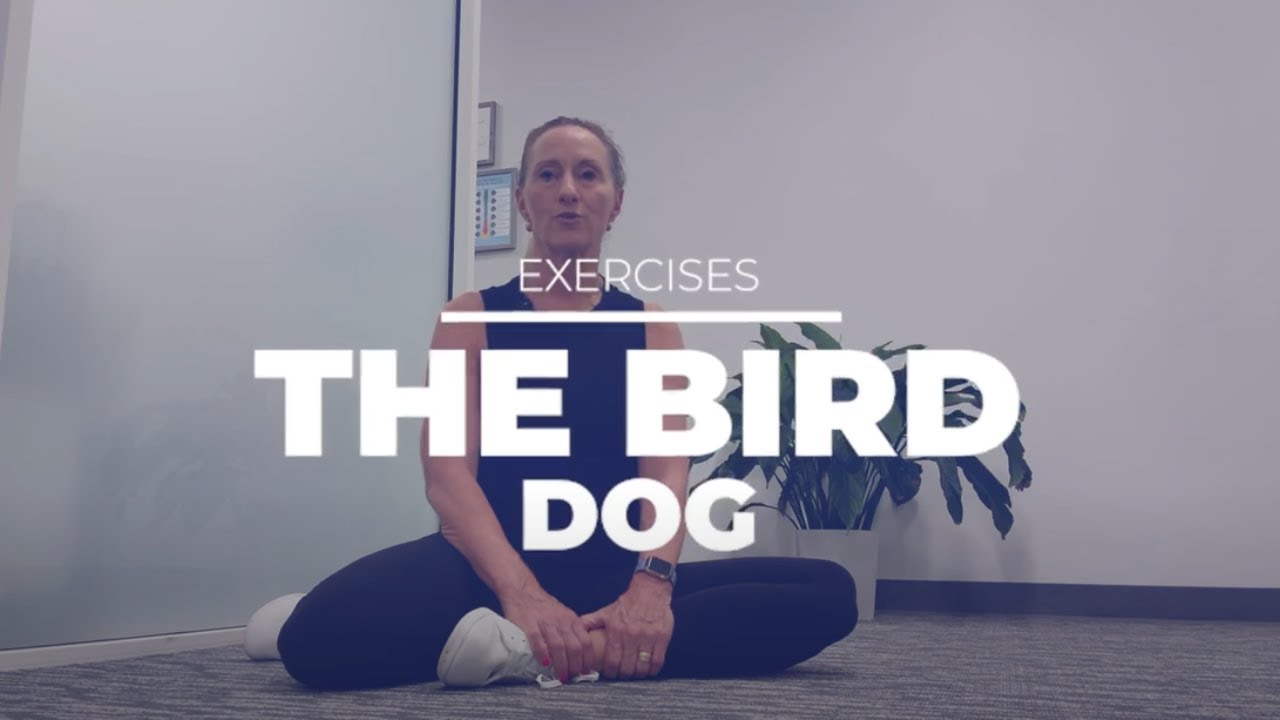 Improve Core Strength & Stability with the Bird Dog Exercise | Perfect for Back Pain & Posture