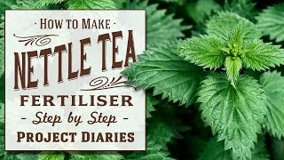 ★ How to Make Stinging Nettle Tea Fertiliser (Benefits of using &amp; drinking Tea / High Nitrogen Feed)