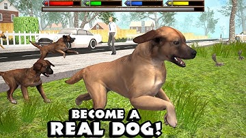 Ultimate Dog Simulator (by Gluten Free Games) - Part 1 - Android Gameplay [HD]