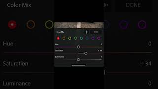 Lightroom edit short #lightroom #viralshorts #trending #edit #new #editing #shortvideo #shortsfeed
