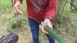 trapping various types of birds using bamboo stick