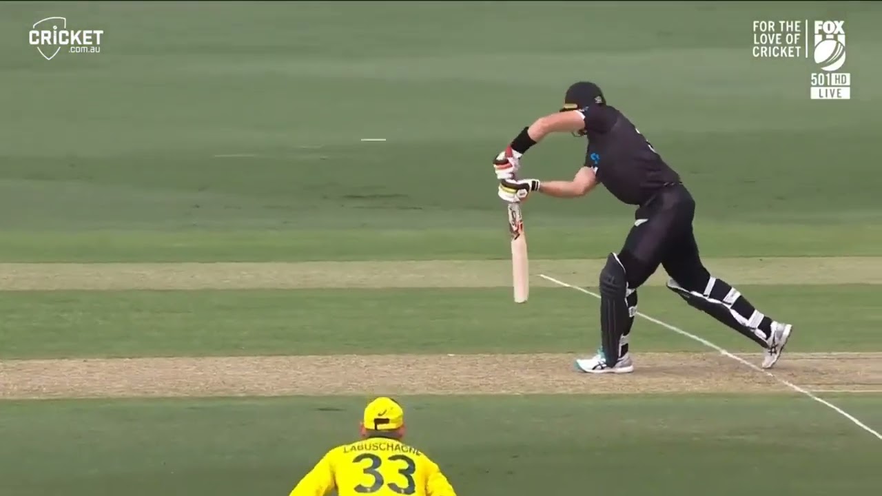 Glenn Maxwell stunning catch vs NZ