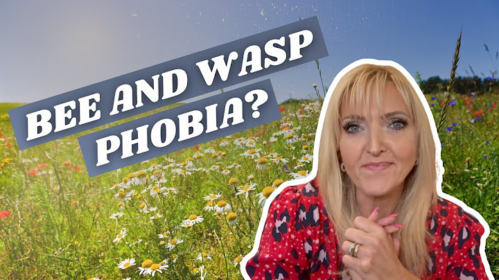 4 Steps To Help Your Fear Of Bees And Wasps
