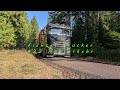 #22 Nahverkehr Bleiben wir im Wald stecken?