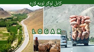 Logar | Kabul to logar by Road | کابل لوګر لویه لار | Saleem Adil