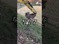 そんな気がしてたけど‥やっぱりね!