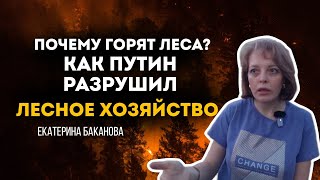Лесные пожары в России. Путин разрушил лесное Хозяйство? Екатерина Баканова