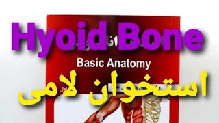 اناتومی استخوان لامی /Hyoid bone