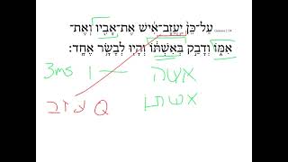 Genesis 2:24 HebrewDaybyDay