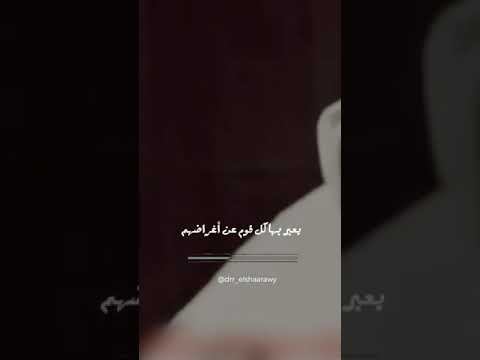شاهد ما هي اللغة محمد متولى محمد متولى الشعراوى الشعراوي الشعراوي رحمه الله