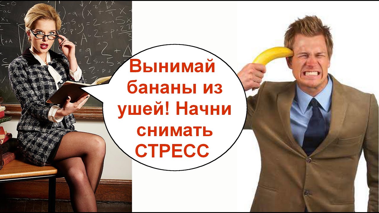 Анти перекупщик программа