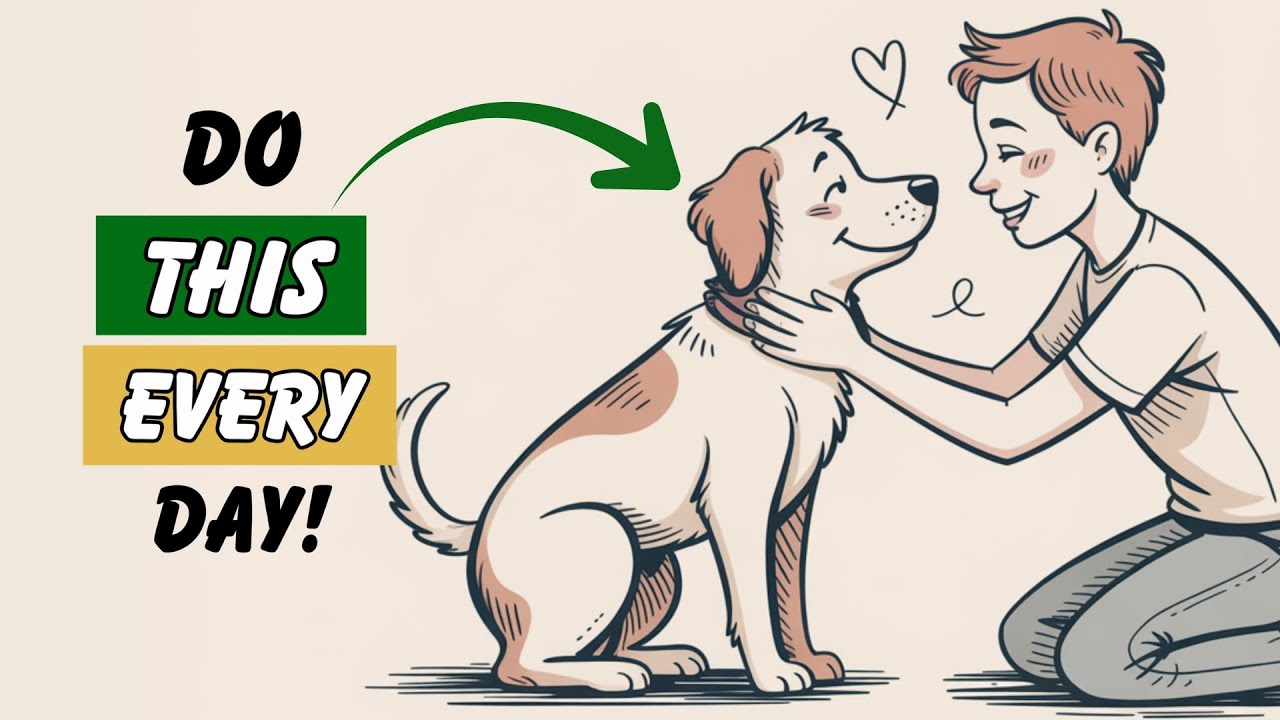 9 Things You RARELY Do for Your Dog (But Should Every Day)