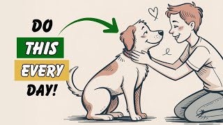 9 Things You RARELY Do for Your Dog (But Should Every Day)