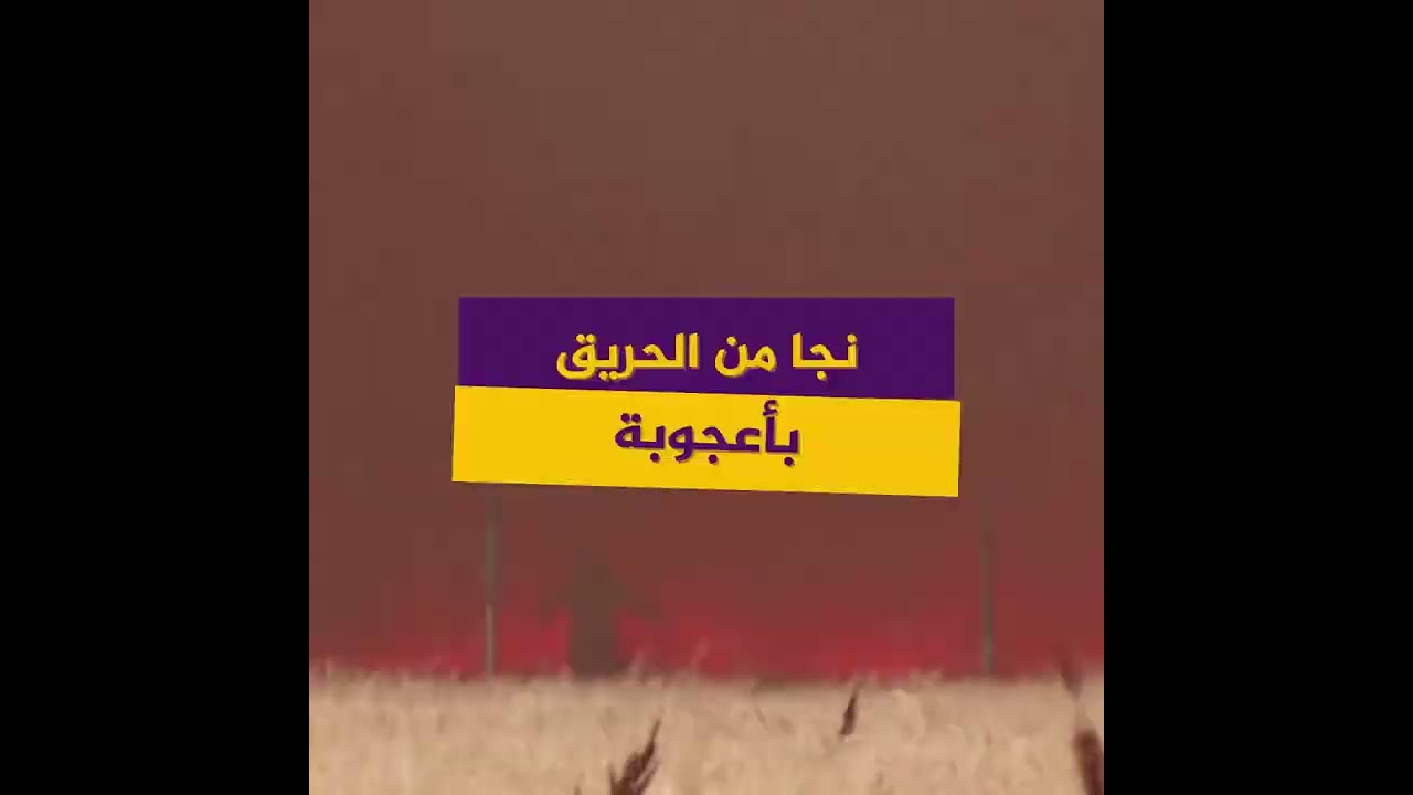 نجاة مزارع إسباني من الموت بأعجوبة أثناء محاولته إنقاذ حقله من حريق