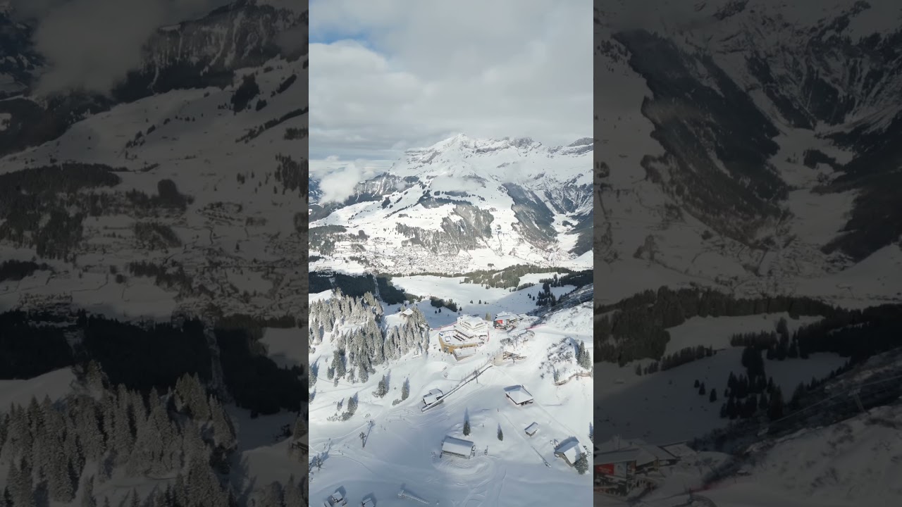 Snow | hills | wild vibes with animation 