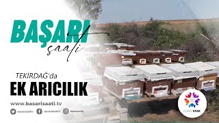 Ek Aricilik - Euro Star Başari Saati̇