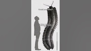 Prehistoric Horror Would You Rather part 5! #prehistoric #dinosaur #horror #wouldyourather #extinct