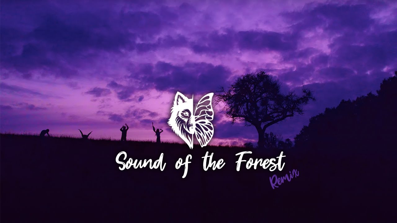 Ronja Maltzahn - Sound of the Forest 