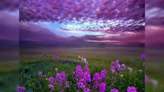 Nahide Babashli Ft Elcin Eliyev - Yene Ozledim 2019