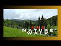 Join My Nature Walk Observing for Things Starting with E & U