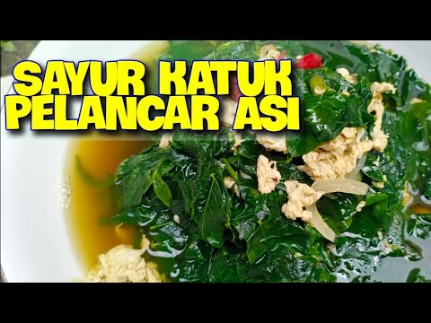 Resep Sayur Katuk Telur