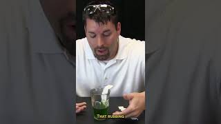 Why Do Some Leaves Change Color  Part 2