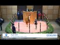 Lucky Draw i/f Gun Runner sells for $330,000 at Kentucky Winter Mixed (2022)