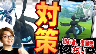 ゼクロム対策 初心者は何使えば良い 一番火力が出るポケモンは 超優秀な伝説ドラゴンにそなえろぉぉぉぉぉ ポケモンgo Youtube