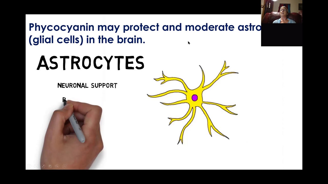 LIGHT PIGMENTS and Health