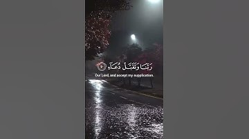 مقتطفات من سورة إبراهيم بصوت القارئ هيثم الدخين