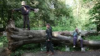 Thisisneverthat Grateful Dead