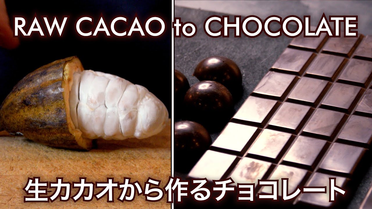 生のカカオポッドから作るチョコレート | RAW CACAO TO BAR - YouTube