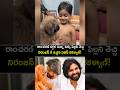 రాంచరణ్ కుక్క పిల్లని తెచ్చి నిరంజన్ కి ఇచ్చిన పవన్ కళ్యాణ్ గారు! #ramcharan #pawankalyan given dog