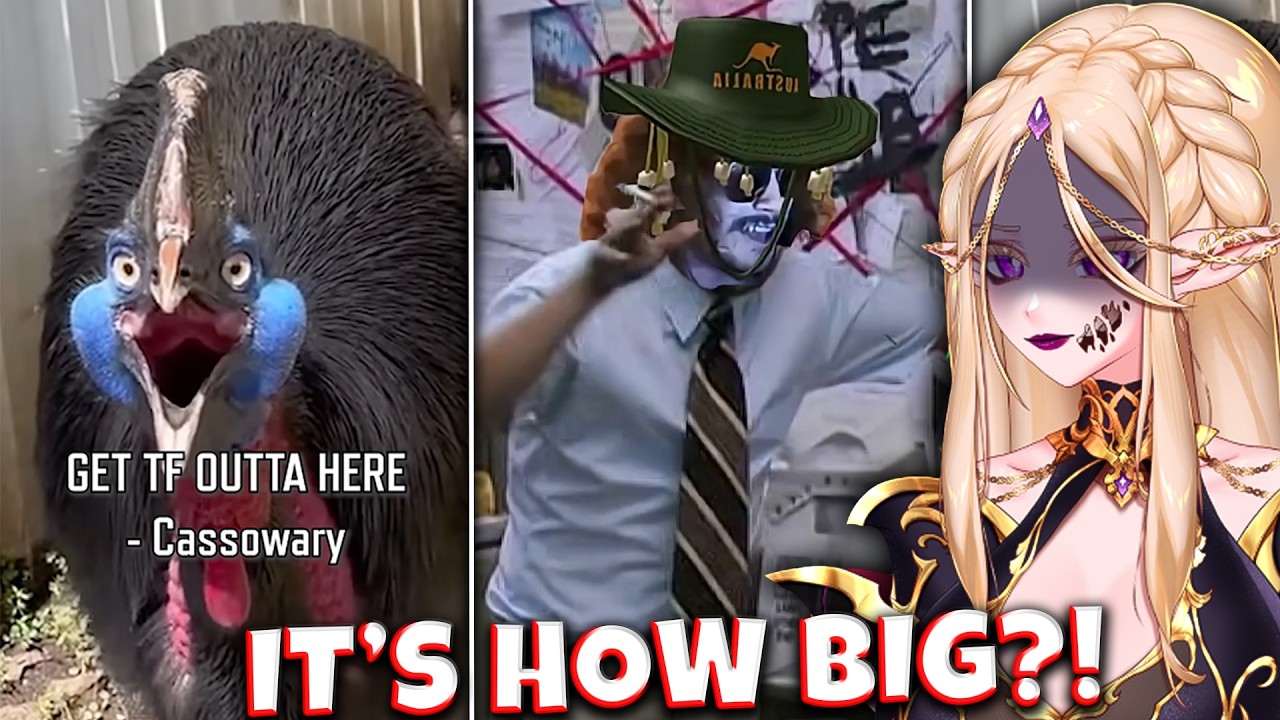 Australian Birds Are INSANE!  Vtuber Reacts to MoreParz