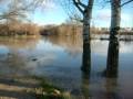 La crecida del Ebro llena de vida las riberas