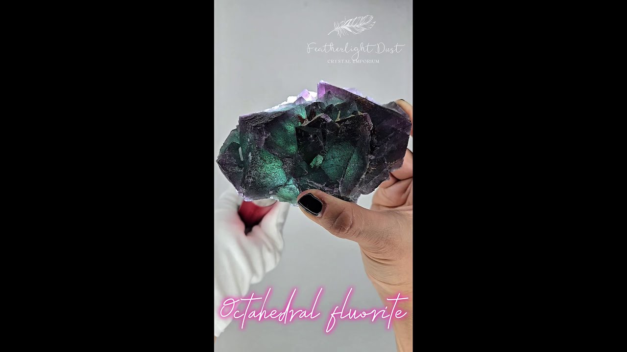 Blue octahedral fluorite with purple edges - FL419