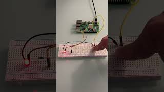Press a button. Control a real LED with Raspberry Pi. #gpio #raspberrypi #electronics #stemeducation